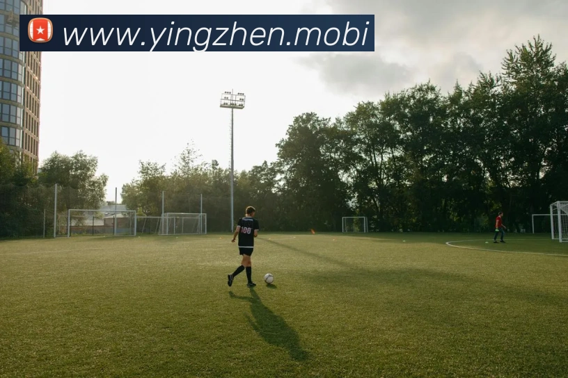 开云手机在线登录官网平台生态图