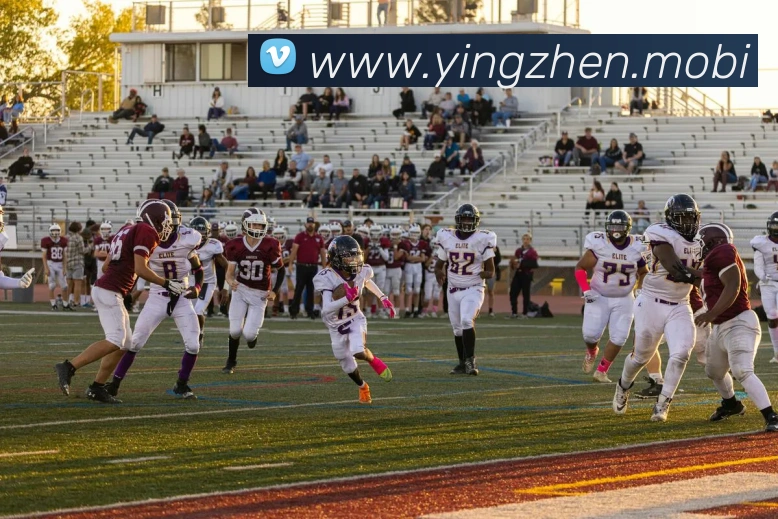 开云手机在线登录官网全站App